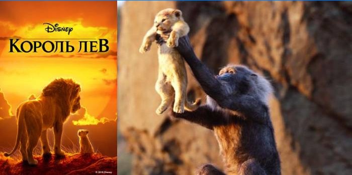 Film Løvenes Konge