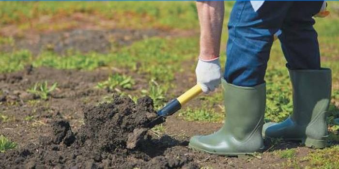 En mand graver en have