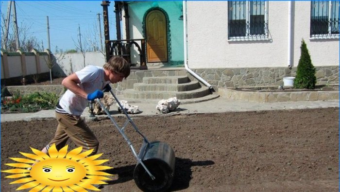 Processen med at rulle jord til græsplænen med en speciel rulle