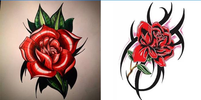 Rose skitse