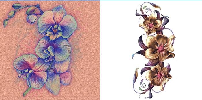 Orchid blomster