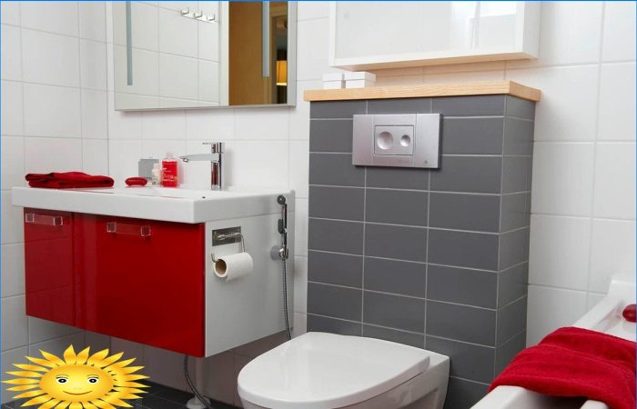Udskiftning af bidet: hygiejniske brusere og bidet