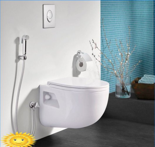 Udskiftning af bidet: hygiejniske brusere og bidet