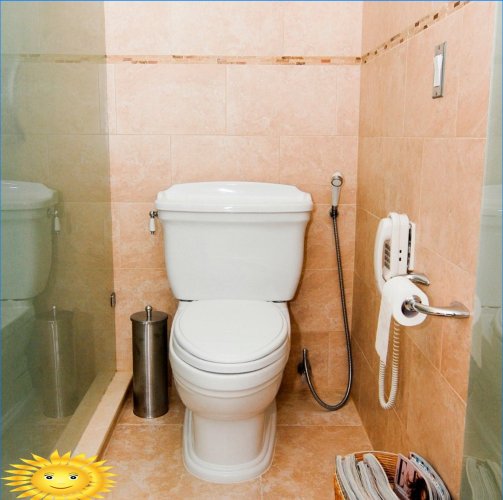 Udskiftning af bidet: hygiejniske brusere og bidet