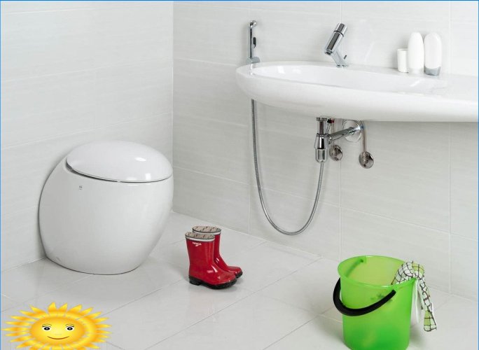 Udskiftning af bidet: hygiejniske brusere og bidet