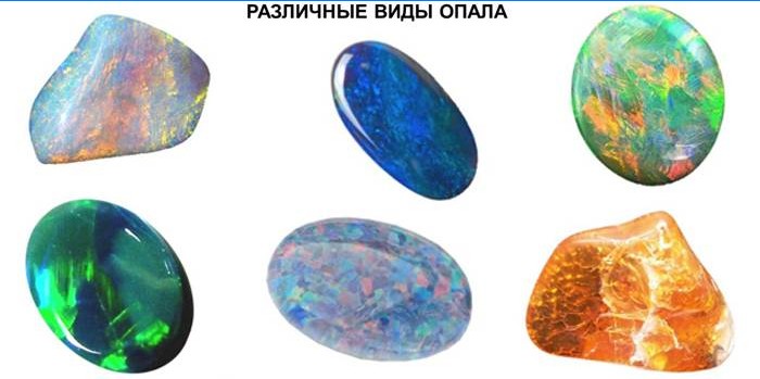 Sorter af Opals