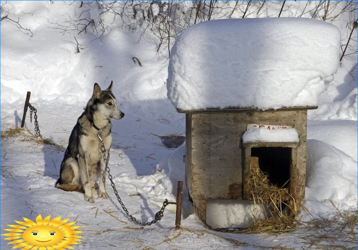 Vinterhundehus