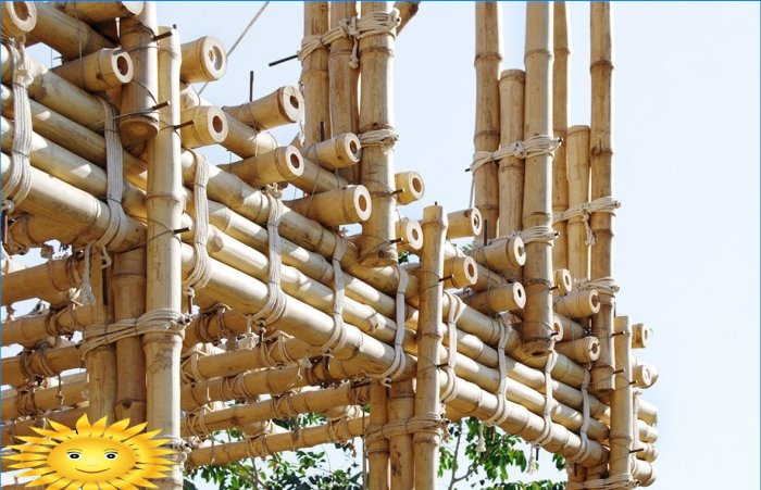 Bambus konstruktion