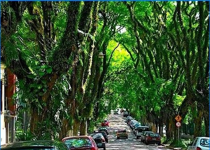 De mest usædvanlige gader i verden