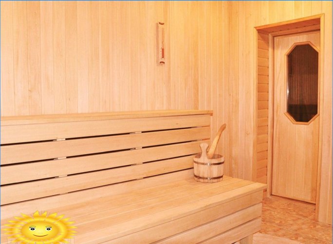 Døre til bade, saunaer, damprum: krav, funktioner, fittings