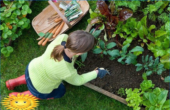 Gartner- og gartnerkalender: Forårets arbejdsplan