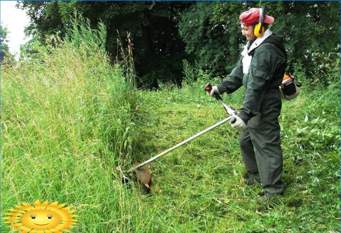 Scythe eller trimmer - hvilket er bedre