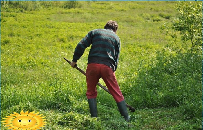 Scythe eller trimmer - hvilket er bedre