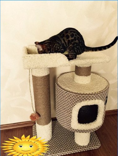 Hus-skrabe indlæg til en kat