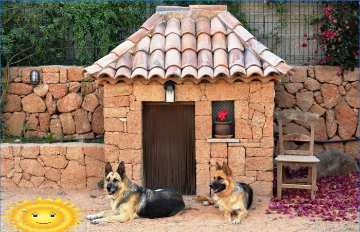 Bås og huse til hunde