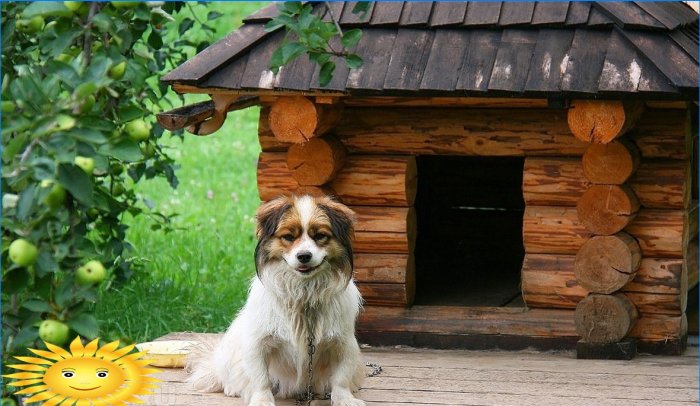 Bås og huse til hunde