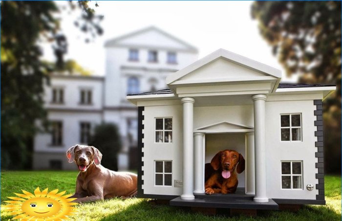 Bås og huse til hunde
