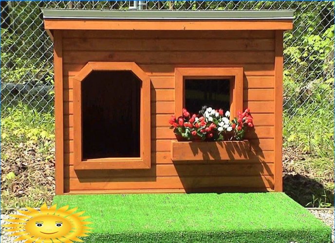 Bås og huse til hunde