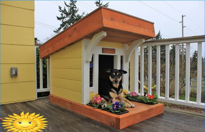 Bås og huse til hunde