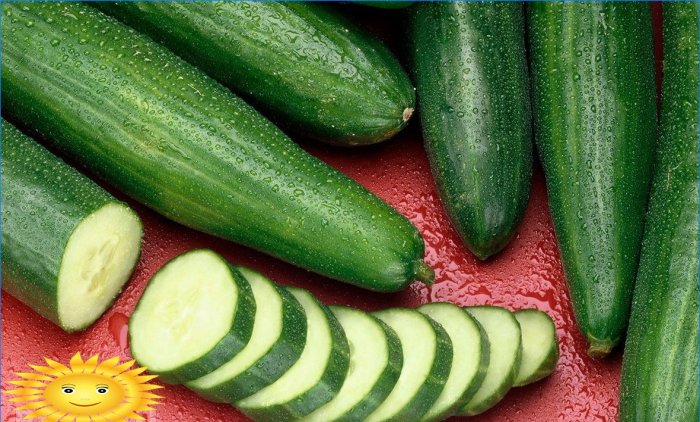 De mest populære sorter af agurker