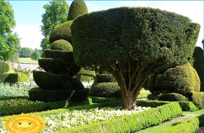 Topiary - skulpturer fra buske og træer