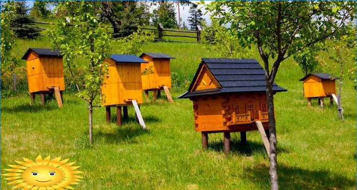 Træhuse til bier