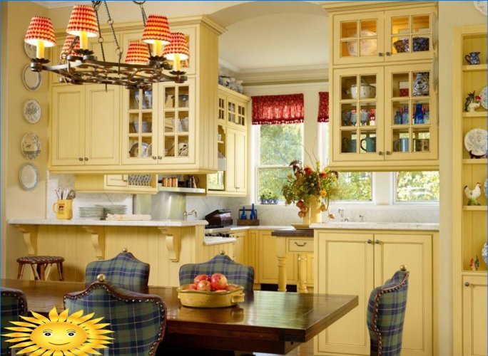 Blanke og matte facader i køkkenet: fordele og ulemper, udvælgelseskriterier