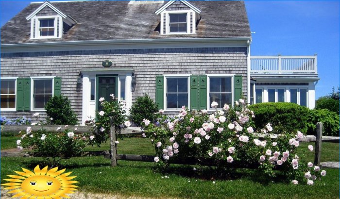 Cape Cod huse