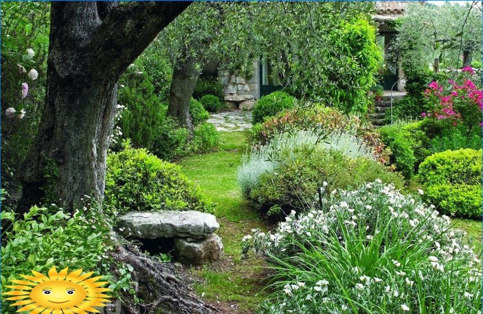 Chelsea-blomsterudviklingen i 2019