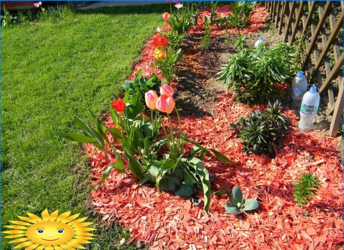 Dekorativ mulch: bortskaffelse senge og jord med savsmuld og grus