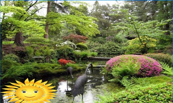 Den japanske have er et klassisk eksempel på etnisk stil i landskabsdesign