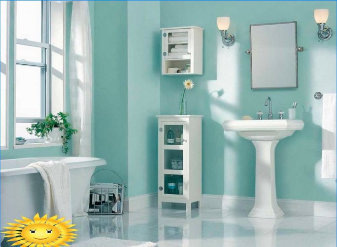 Sådan vælger du maling og laker: badeværelse maling
