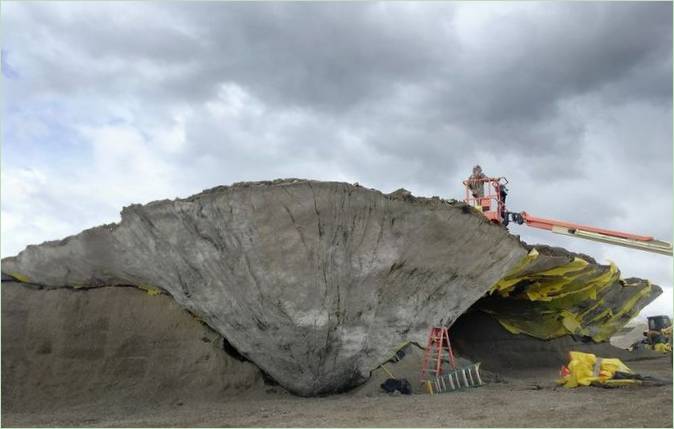 Skulptur udskåret af naturmaterialer