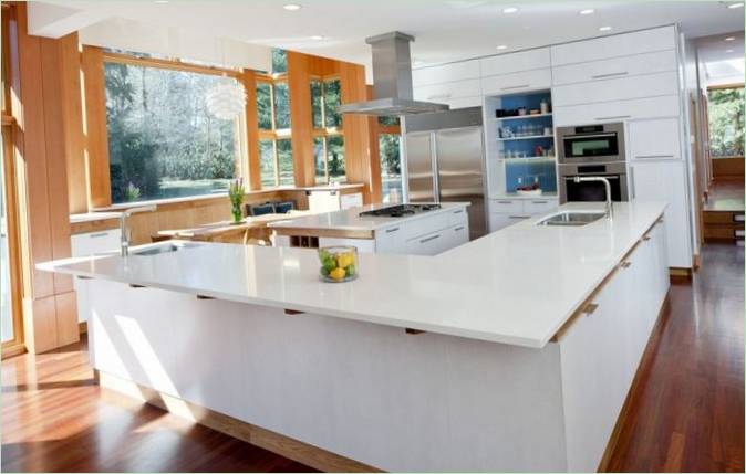 Chestnut Hill Residence vellykket økologisk bygningsdesign
