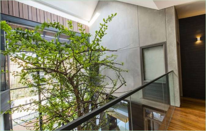 Træet inde i landhuset Baan Yo Yen i Thailand