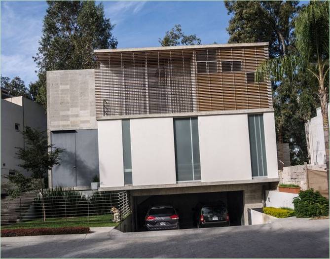 Indretning af eukalyptusskov, Zapopan, Jalisco, Mexico