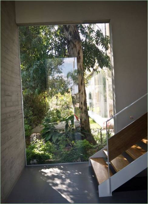 Indretning af et hus i en eukalyptusskov, Zapopan, Jalisco, Mexico