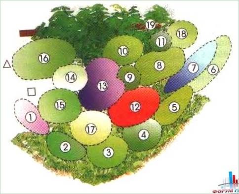 Ordningen af en kontinuerlig blomstrende have