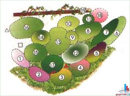 Ordningen af en kontinuerlig blomstrende have