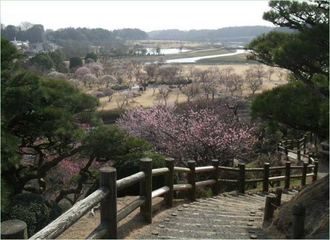 Kairaku-en Gardens i Mito