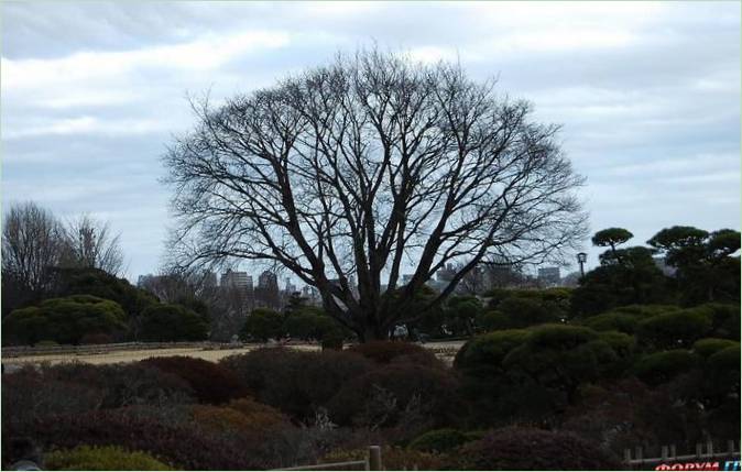 Kairaku-en Gardens i Mito