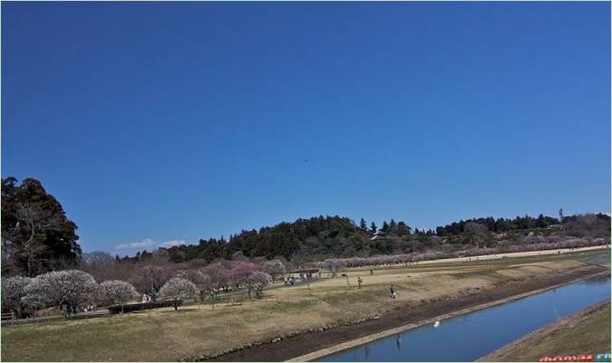 Kairaku-en Gardens i Mito