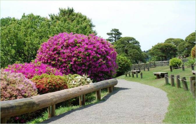 Kairaku-en Gardens i Mito