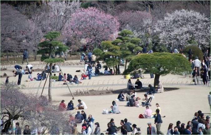 Kairaku-en Gardens i Mito