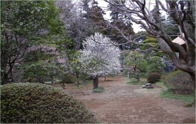 Kairaku-en Gardens i Mito