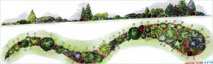 Blomsterbed med bånd og nåletræer