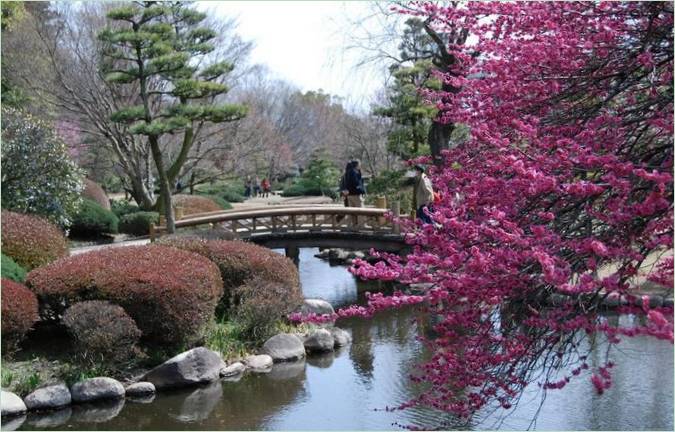 Kairaku-en Gardens i Mito