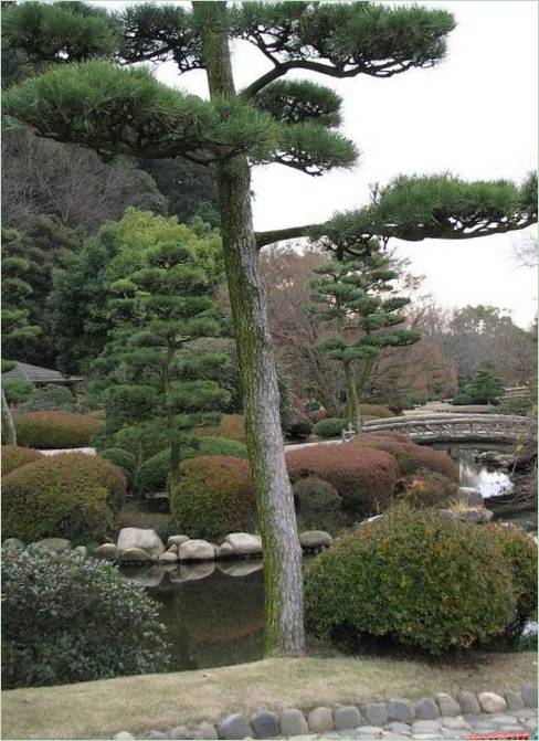 Kairaku-en Gardens i Mito