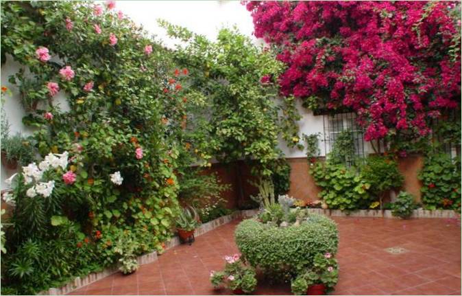 Cordoba terrasse dekoration