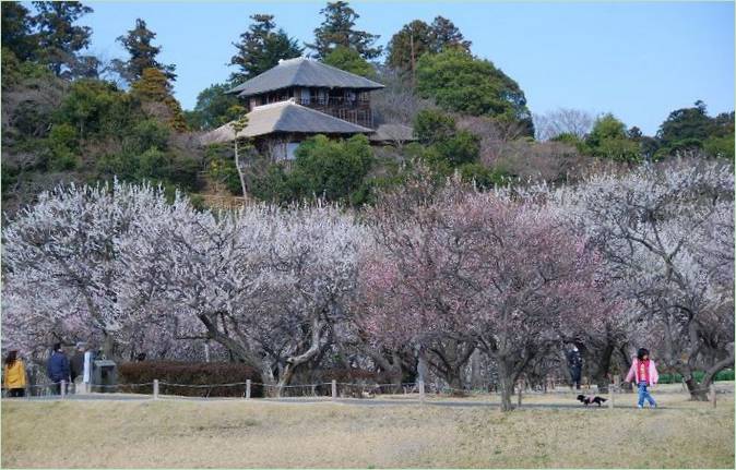 Kairaku-en Gardens i Mito